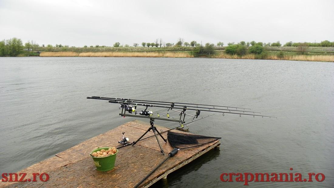 GREENFISH 2 - 1000444.jpg